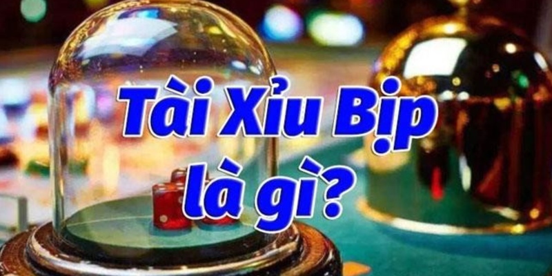 gioi-thieu-thong-tin-doi-net-ve-tai-xiu-bip